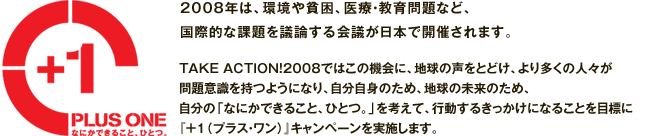 2008年は、環境や貧困、医療・教育問題など、国際的な課題を議論する会議が日本で開催されます。TAKE ACTION!2008ではこの機会に、地球の声をとどけ、より多くの人々が問題意識を持つようになり、自分自身のため、地球の未来のため、自分の「なにかできること、ひとつ。」を考えて、行動するきっかけになることを目標に『+1（プラス・ワン）』キャンペーンを実施します。