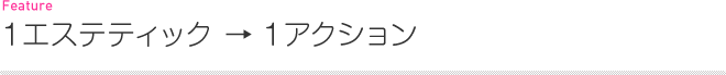 財団概要：2009年の活動